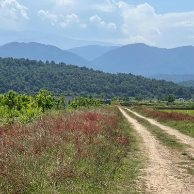 خرید زمین سنددار برای سرمایه گذاری